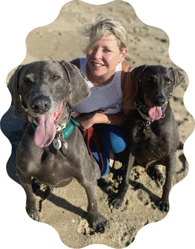 Janine with two Weimaraners during a Sniff Safaris dog walk in Denver